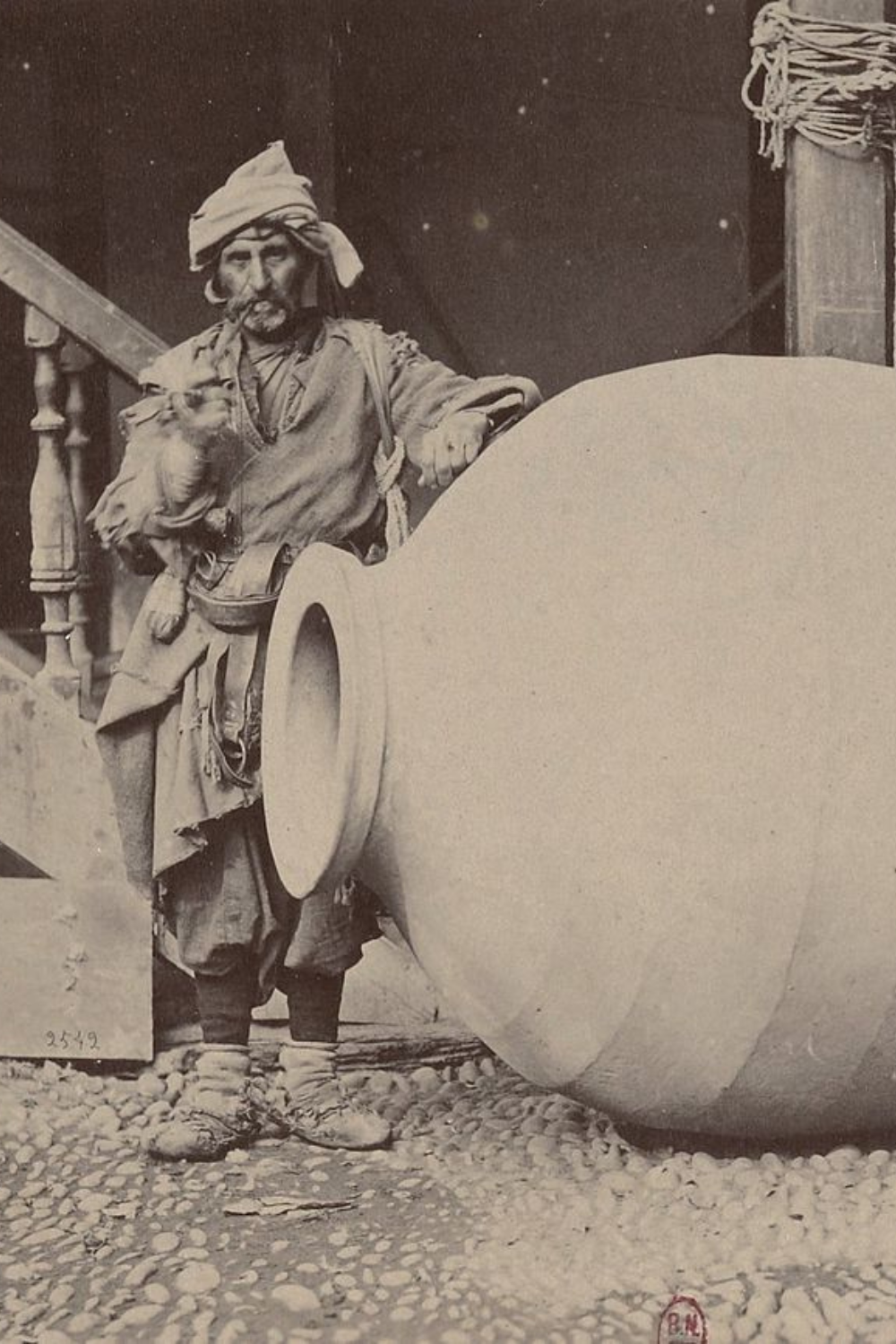 Traditionelle georgische Rebsorten Saperavi und Rkatsiteli – einzigartiger Ursprung des Weins