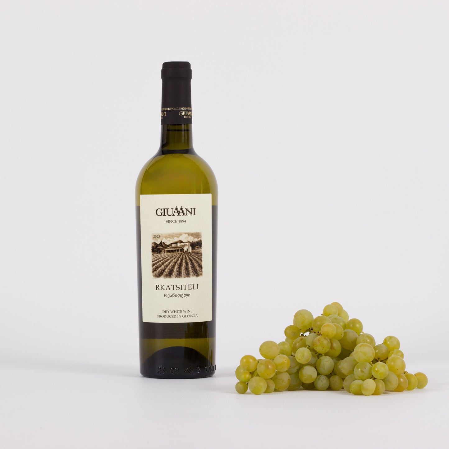 Georgischer Rkatsiteli Weißwein aus Manavi – trocken, aromatisch und traditionsreich