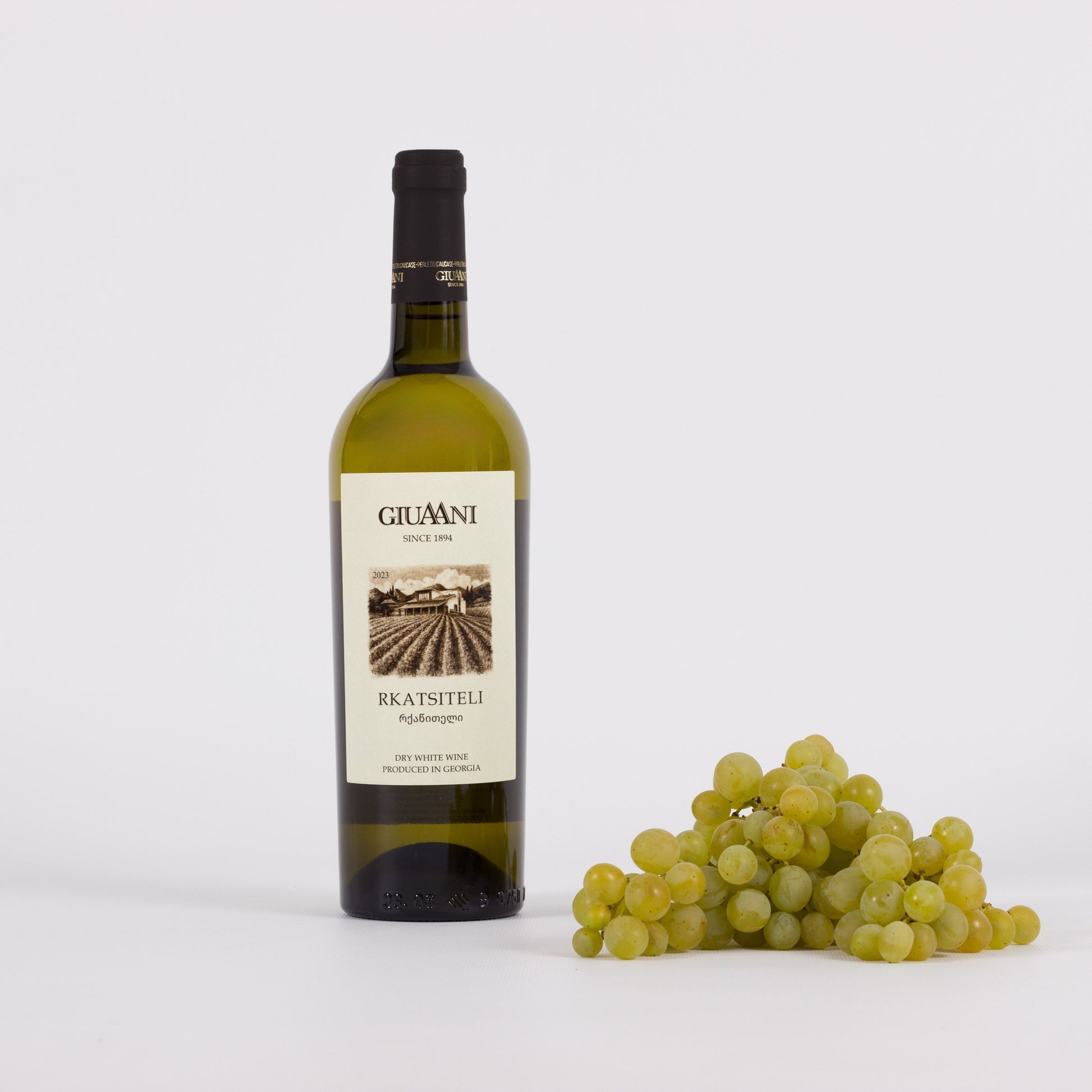 Georgischer Rkatsiteli Weißwein aus Manavi – trocken, aromatisch und traditionsreich