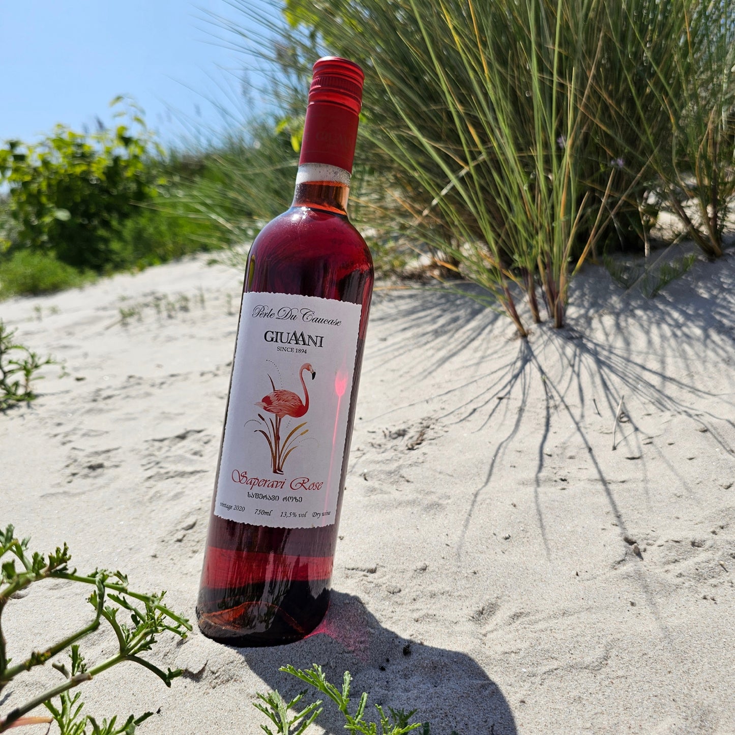 Giuaani Saperavi Rosé 2024 – trockener Roséwein, harmoniert mit gegrilltem Gemüse, Lachs, Meeresfrüchten und Salaten