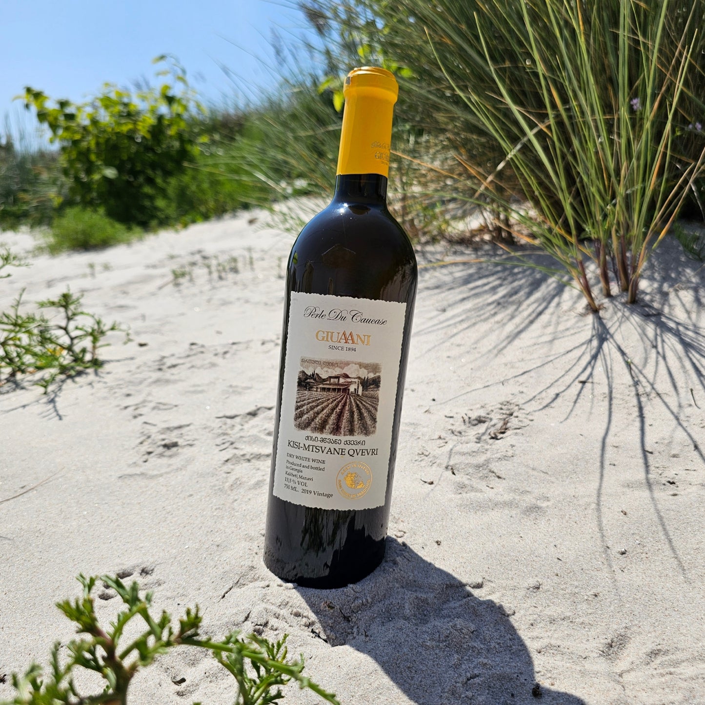 Qisi Mtsvane Qvevri 2019 im Glas – bernsteinfarbener Orangewein mit Aromen von Aprikose, Pfirsich, Honig und Kräutern