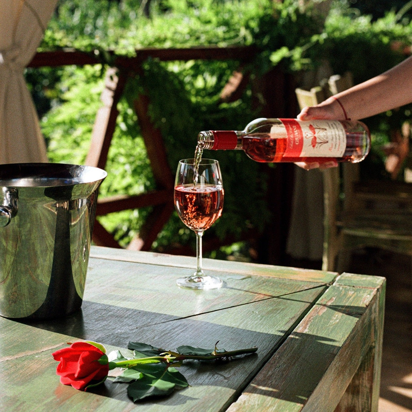 SAPERAVI ROSE GIUAANI PERLE DU CAUCASE