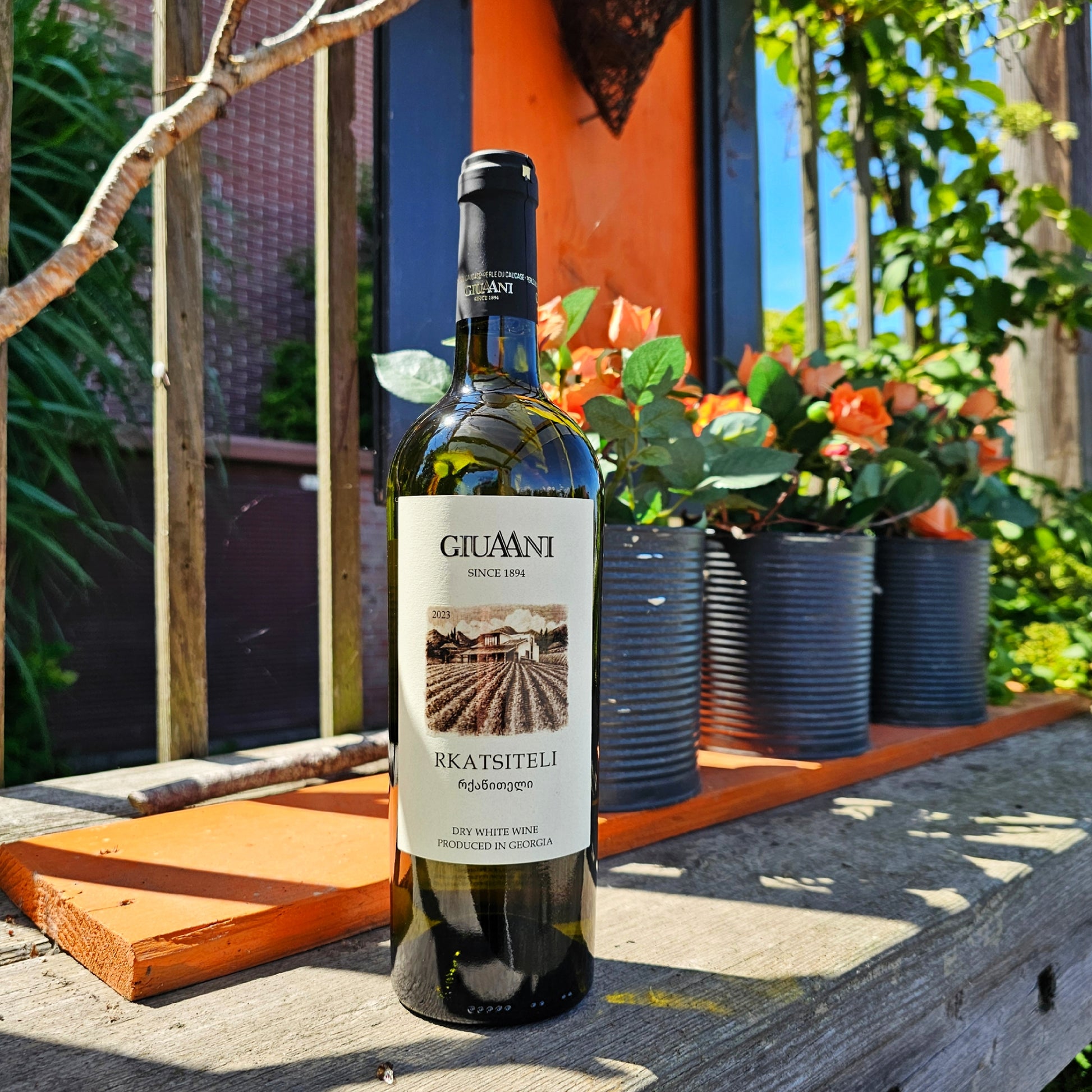 Rkatsiteli aus Manavi – trockener georgischer Weißwein mit Aromen von Vanille, Nüssen und gelben Früchten